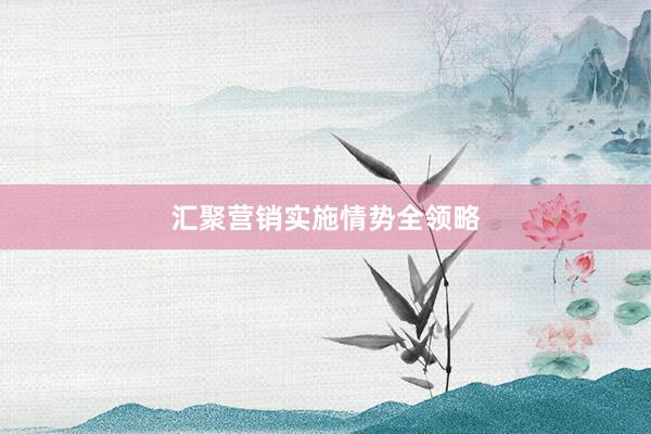 汇聚营销实施情势全领略