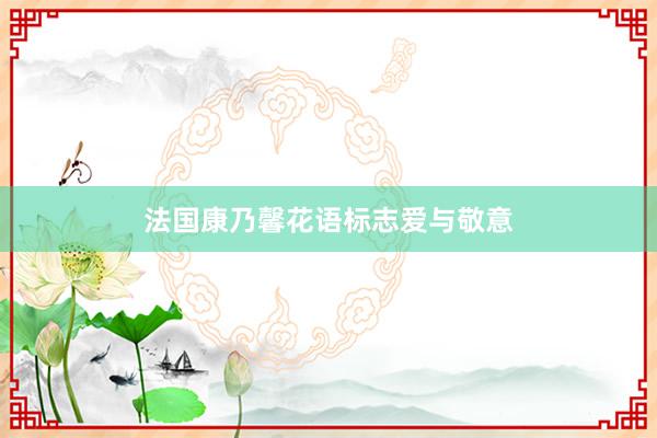 法国康乃馨花语标志爱与敬意