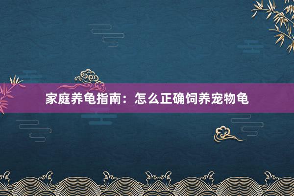 家庭养龟指南：怎么正确饲养宠物龟